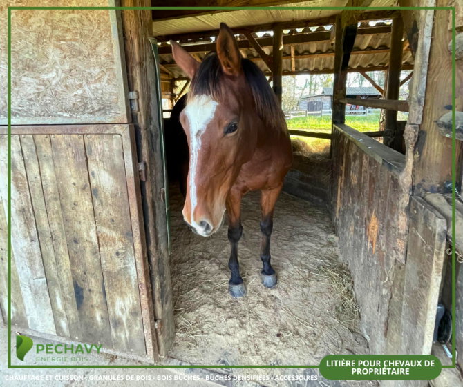 Notre litière aux granulés de bois fait encore des heureux !