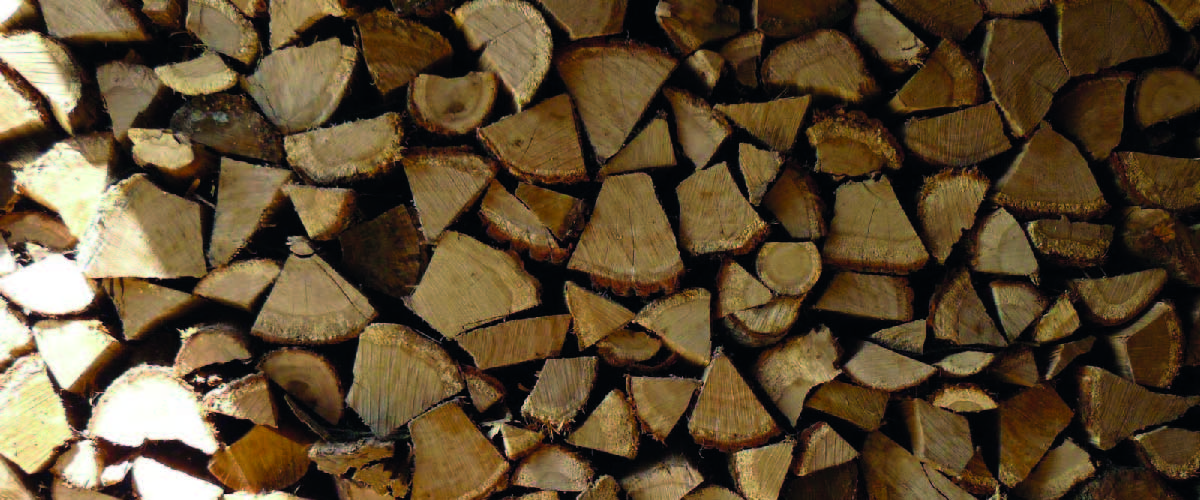Les 8 idées reçues sur le bois énergie
